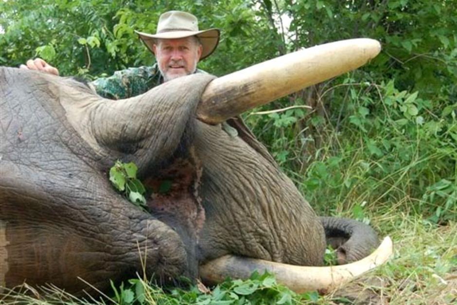 The Shooters and Fishers Robert Borsak poses with a dead elephant in Africa. I wonder if he'll do the same with a dead child in NSW....