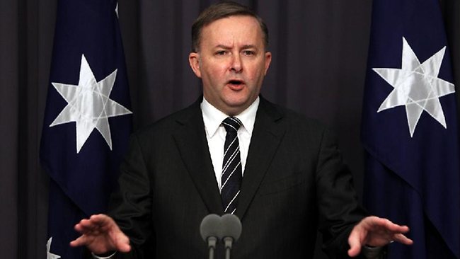 997604-anthony-albanese