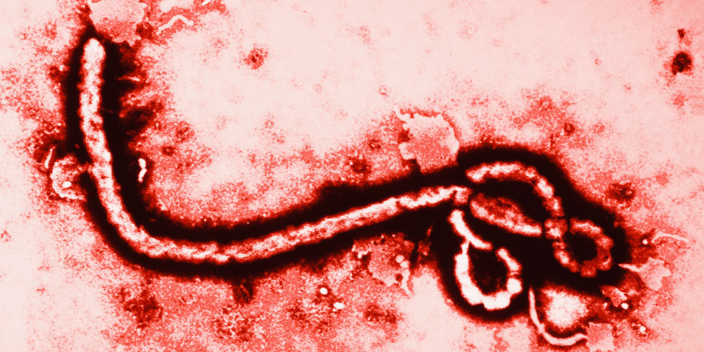 Ebola - Deadlier than ISIS, ISIL or ISORE
