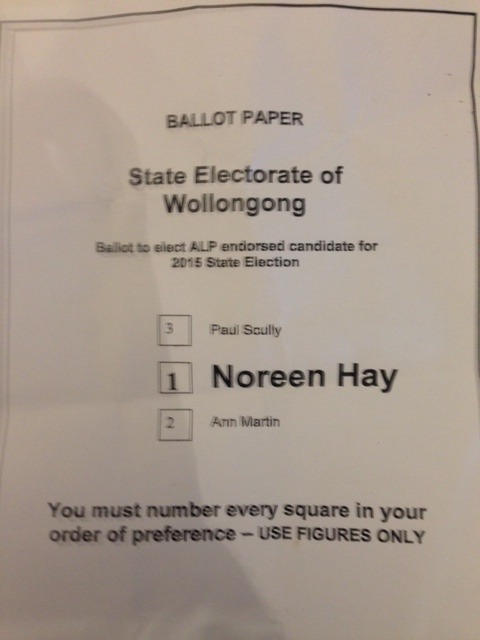 Noreen Hay's how to vote handout