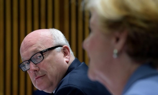 Brandis shoots Professor Triggs a less than loving glance Image - The Guardian