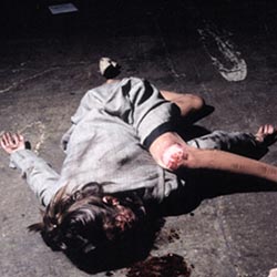 What Andrew Chan and Myuran Sukumaran were importing - death by overdose