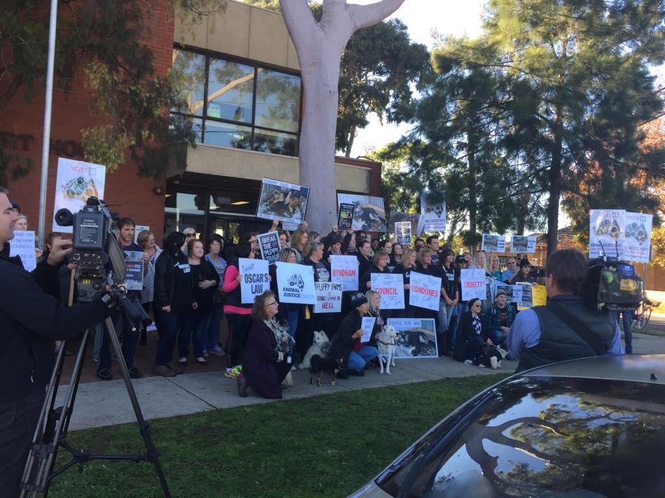 Protesters outside Wyndham Court 